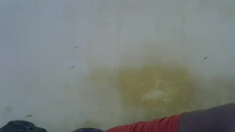 Paloma online show from May 16, 2026, 11:46 pm