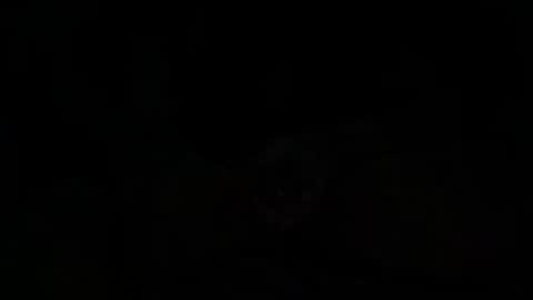 Snapshot of oft40801 chatting on May 10, 2026, 5:56 am Ribbon online show from May 10, 2026, 5:56 am