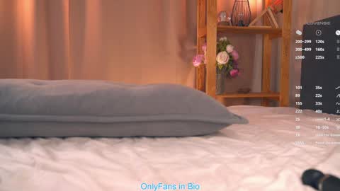 Snapshot of oke_doke chatting on November 29, 2025, 7:17 pm Henrietta or Rita online show from November 29, 2025, 7:17 pm