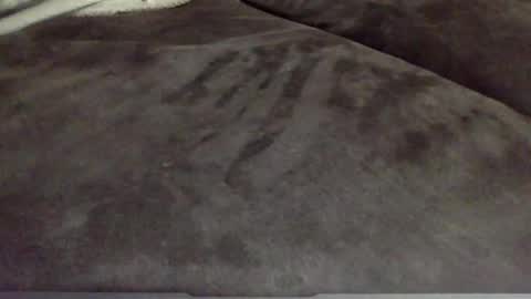 Snapshot of oktobus74 chatting on November 13, 2025, 4:50 pm oktobus74 online show from November 13, 2025, 4:50 pm