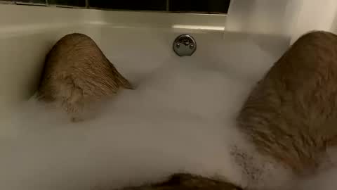 oldbones2 online show from December 8, 2024, 2:07 am