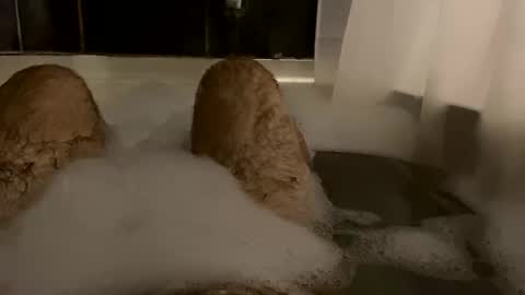 oldbones2 online show from February 24, 2025, 2:51 am