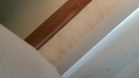 Snapshot of olddognewtrickss chatting on September 11, 2025, 8:42 pm olddognewtrickss online show from September 11, 2025, 8:42 pm