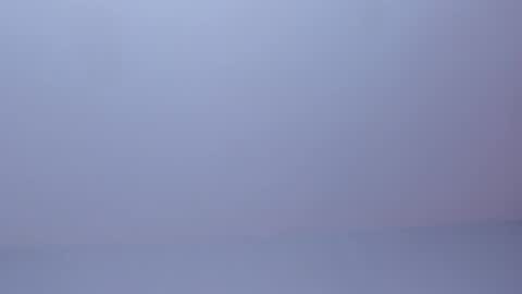 OLIVIA online show from March 31, 2026, 2:35 am