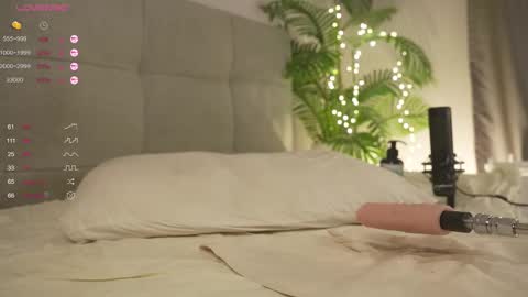 Lily dont forget to follow me  good to see you all online show from February 22, 2025, 10:20 pm