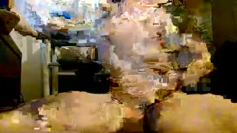 onlyfunnowchat online show from January 6, 2026, 5:38 pm