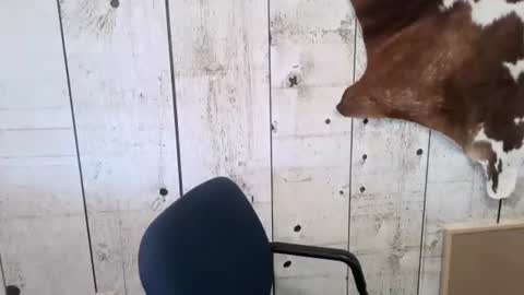 kinkynerd online show from November 1, 2025, 3:25 pm