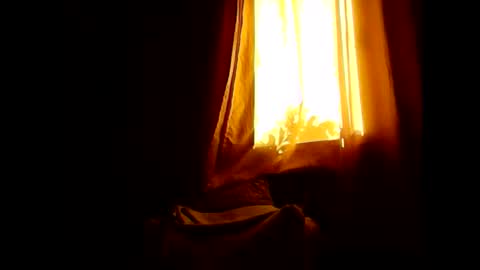 Opree online show from January 31, 2026, 7:11 pm