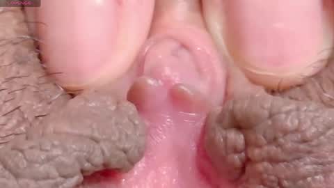 orchidekitty online show from April 16, 2026, 8:20 pm