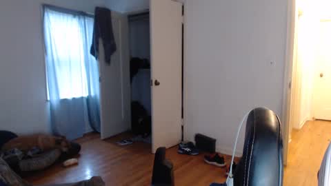 Snapshot of oregon87 chatting on December 9, 2024, 4:15 pm The Oregon Lumberjack online show from December 9, 2024, 4:15 pm