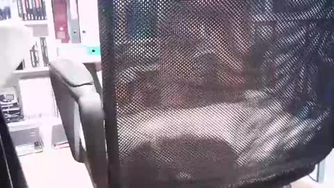 Snapshot of oren57 chatting on March 1, 2025, 2:44 pm oren online show from March 1, 2025, 2:44 pm