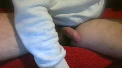 Snapshot of ornytologist chatting on December 7, 2024, 9:39 am ornytologist online show from December 7, 2024, 9:39 am