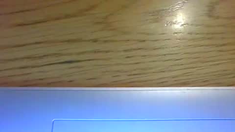 Snapshot of ornytologist chatting on January 1, 2025, 1:48 pm ornytologist online show from January 1, 2025, 1:48 pm