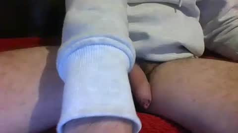 Snapshot of ornytologist chatting on January 17, 2025, 9:49 am ornytologist online show from January 17, 2025, 9:49 am