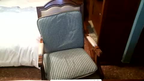 Oscar online show from December 16, 2025, 4:23 pm