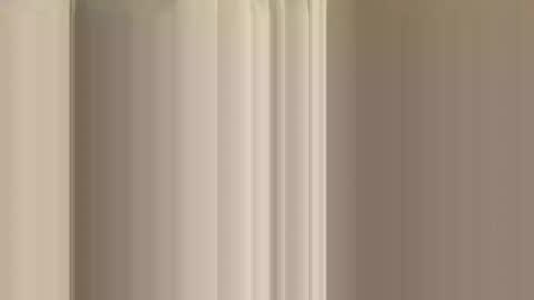 rossignol online show from December 14, 2024, 12:33 am