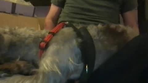 rossignol online show from January 16, 2025, 6:14 am