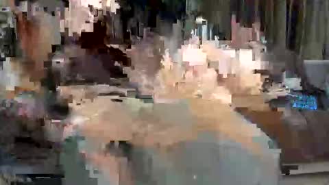 Paolo 187 84 online show from May 24, 2026, 3:44 am