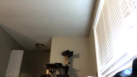 paigechantel online show from February 19, 2026, 11:45 pm