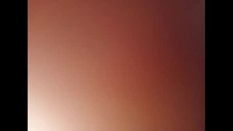 Snapshot of pala3441 chatting on January 11, 2025, 6:33 pm PALA online show from January 11, 2025, 6:33 pm