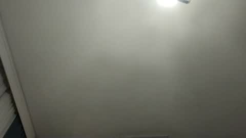 Snapshot of pala3441 chatting on January 27, 2025, 2:31 am PALA online show from January 27, 2025, 2:31 am