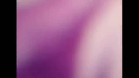 Snapshot of pala3441 chatting on March 3, 2025, 8:16 am PALA online show from March 3, 2025, 8:16 am