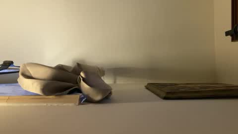 palerider269 online show from February 13, 2025, 1:48 pm