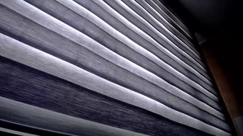 Palmer online show from December 9, 2024, 1:24 pm