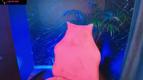 Palo Santo online show from February 5, 2026, 7:35 am