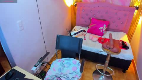 PALOMA 3 online show from April 1, 2026, 11:33 am