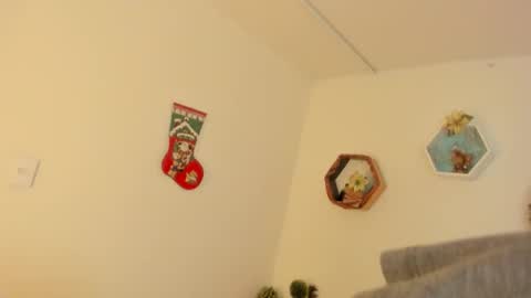 Paloma  online show from December 19, 2025, 8:27 pm