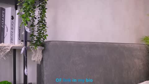 Diana online show from February 4, 2026, 6:52 am