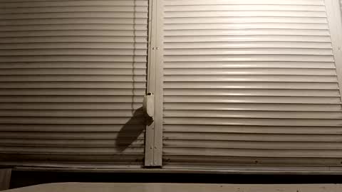 angel hris online show from January 13, 2026, 6:46 pm