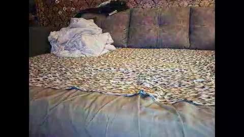 Pancamo online show from January 18, 2026, 7:17 pm