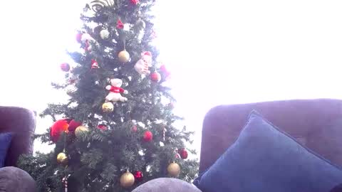 pandora__1 online show from December 17, 2025, 5:41 pm