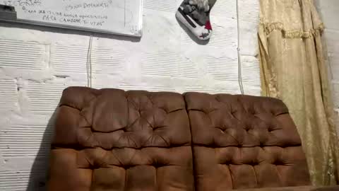 Snapshot of panthers_room chatting on December 19, 2024, 10:56 am panthers_room online show from December 19, 2024, 10:56 am