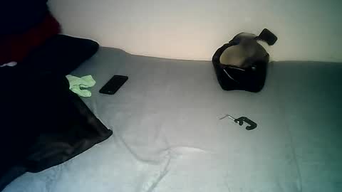 Snapshot of pantslesstraveler_plt chatting on December 14, 2024, 7:46 pm PantsLessTraveler online show from December 14, 2024, 7:46 pm