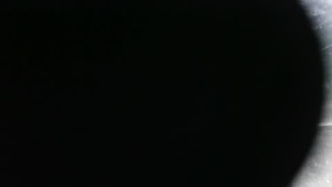 Snapshot of pantyhoselover_74 chatting on October 8, 2025, 9:34 pm pantyhoselover_74 online show from October 8, 2025, 9:34 pm