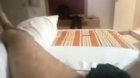 papitote32cm online show from April 21, 2026, 11:51 pm