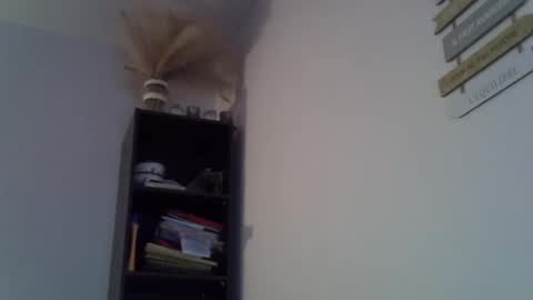 patrick5275 online show from February 23, 2025, 7:00 am