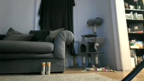 shy online show from April 12, 2026, 7:46 am