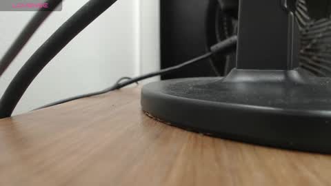 PAUL online show from November 19, 2025, 12:27 pm