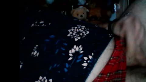 Snapshot of pbemid chatting on January 6, 2025, 8:57 am Papabear online show from January 6, 2025, 8:57 am