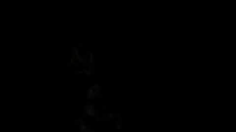 Alex online show from February 18, 2025, 1:00 pm