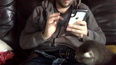 pedrotheamateur online show from December 3, 2024, 12:38 pm