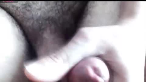 peiboluna online show from December 16, 2025, 2:55 pm