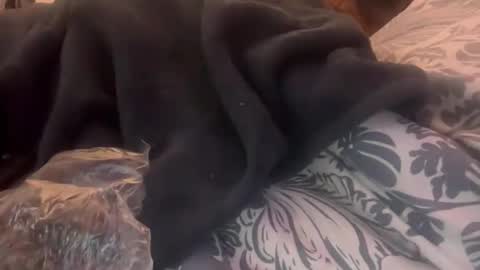 penutbutter691 online show from February 23, 2026, 11:29 am