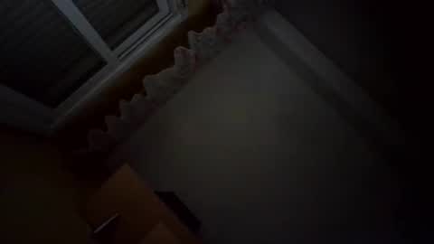 Snapshot of perales_12345 chatting on March 28, 2026, 5:29 am perales_12345 online show from March 28, 2026, 5:29 am