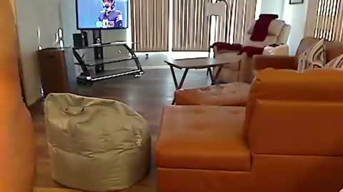 perfecto1957 online show from December 22, 2024, 8:03 pm