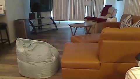 perfecto1957 online show from December 24, 2024, 3:58 pm